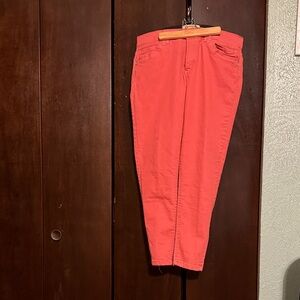 Democracy Coral Ankle Length Pants